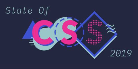 The State of CSS 2019
